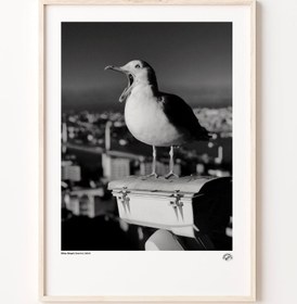 Resim Martı Poster 
