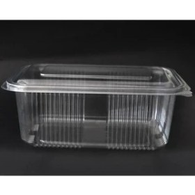 Resim Şahin Ambalaj Plastik Sızdırmaz Kap 1000 gr cc Kullan At Tek Kullanımlık Plastik Kapaklı Kase 25 Adet 