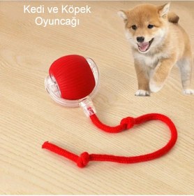 Resim Akıllı Kendiliğinden Dönen Kedi Oyuncağı 360 Şarjlı Hareket Eğlence ve Egzersiz Kırmızı 