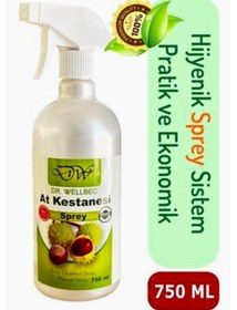 Resim Dr. Wellbec At Kestanesi Sprey Krem 750 ML 
