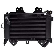 Resim Bajaj Pulsar 200 Ns Radyatör Jl601234 