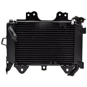 Resim Bajaj Pulsar 200 Ns Radyatör Jl601234 