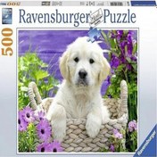Resim Ravensburger 500 Parça Puzzle Golden Retriever 148295 
