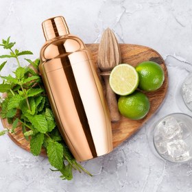 Resim Asgard Paslanmaz Çelik Shaker 500 cc - Gold Titanyum 