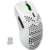 Resim Hxsj T66 2.4G Kablosuz RGB Oyuncu Mouse 