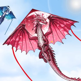 Resim Yeni Alev Kanatlı Ejderha Uçurtması, Aile Toplantıları ve Tatil Hediyeleri İçin Mükemmel (İp Dahildir) 