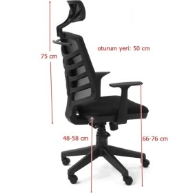 Resim Lena Ofis Zebra Başlıklı Yönetici Koltuğu Çalışma Koltuğu 