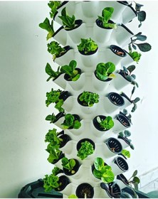 Resim Dikey Bitki Üretim Kulesi 15 Katlı-120 Gözlü - Hidroponik 