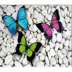 Resim Olinpa Cam Ocak Arkası Koruyucu | Kelebek Desenli 