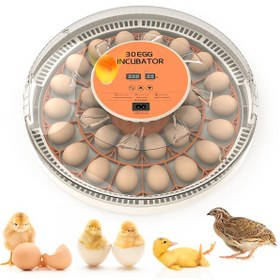 Resim Altın Kuluçka-wonegg 30'lu Otomatik Kuluçka Makinesi 