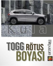 Resim izmir bit pazarı TOGG KULA GRİSİ - 25ml Orjinal Rötuş Boyası 