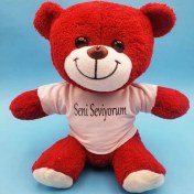 Resim Alifa Toptan Kırmızı Ayıcık Seni Seviyorum Tişörtlü 