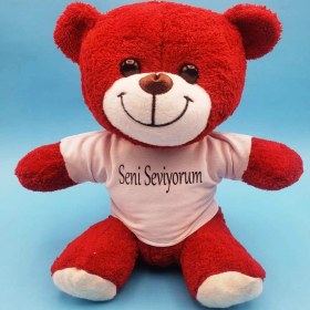 Resim Alifa Toptan Kırmızı Ayıcık Seni Seviyorum Tişörtlü 