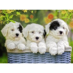 Resim Ravensburger 200 Parça Puzzle Puppies 127658 