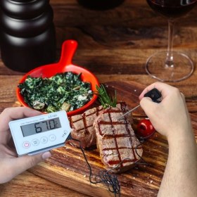 Resim Tfa 30.1033 'LT-101' Kablolu Problu Termometre 