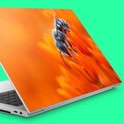 Resim Çiçekte Balarısı Notebook Sticker, Laptop sticker,, Hp Sticker, Asus Sticker, 15.6 inç Sticker 