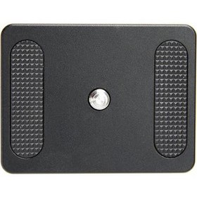 Resim Vanguard QS-60V2 Plate 