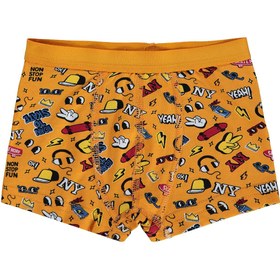 Resim Civil Boys Funny 2-10 Yaş Erkek Çocuk 2'li Boxer - Standart / 4-5 Yaş 