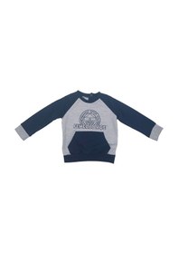 Resim Fenerium Fenerbahçe Fb Logo Sarı-lacivert Bebek Sweat Hediyelik Ahşap Kutulu Gri 