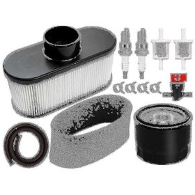 Resim Kawasaki Fr651v Fr730v Fs481v Biçme Makinesi Motorları İçin Bakım Kiti 