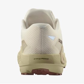 Resim Salomon DRX DEFY GRVL Koşu Ayakkabısı Vanilla Ice L47809600 | Unisex 