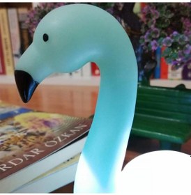 Resim Luz&pos Dekoratif Işık Altında Renk Değiştiren Pilli Kuğu Gece Lambası Çok Renkli 