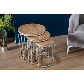 Resim 3' Lü Antik Çam Ahşap Nikel Gümüş Ayak Lenka Metal Sehpa Açık Ceviz 