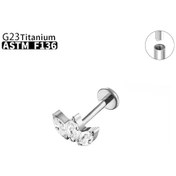 Resim İherag23 Astm F136 Titanyum Piercing Küpe, Dudak, Kulak, Burun Ve Göbek İçin, Cz Süslemeli, Daith Ve Tragus Uyumlu Antik Bakır Kaplama Kırmızı 