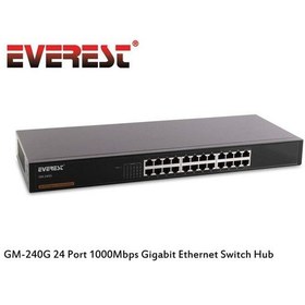 Resim Everest Gm 240G 24 Port 1000Mbps Gigabit Ethernet Switch Hub 