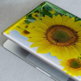 Resim Ayçiçekleri Notebook Sticker, Laptop sticker,, Hp Sticker, Asus Sticker, 15.6 inç Sticker 