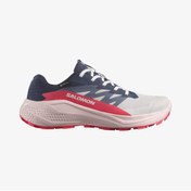 Resim Salomon ALPHAGLIDE GORE-TEX Kadın Koşu Ayakkabısı Lunar Rock L47802300 