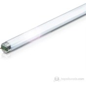 Resim Phılıps 10 Adet 8W/54-765 T 5 Floresan Lamba Beyaz Made In Polland 