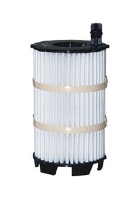 Resim Filtron Yağ Filtresi OE650/5 