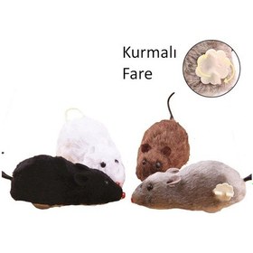 Resim Nm-store Kurmalı Fare Kedi Eğitim Oyuncağı 