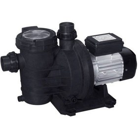 Resim Waterfun Senkron-1 0.75 Hp 220 Volt Havuz Pompası N11.1626 