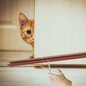 Resim 4 Adet Kapı Toz Rüzgar Önleyici Isı Yalıtımı Sağlayan Sızdırmaz Strafor 