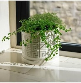 Resim Aztek Desenli Modern Saksı beyaz 