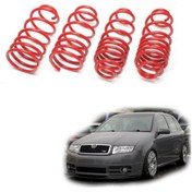 Resim Skoda Fabia spor yay helezon 45mm/45mm 2000-2008 Coil-ex 