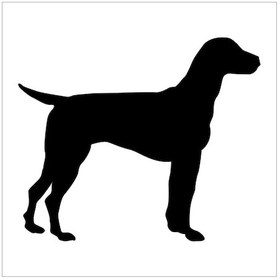 Resim Köpek Folyo Sticker Derstv891 80cm Uzunluk Siyah 