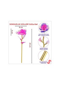 Resim Sonsuzluk Gülü, 25 Cm X 8cm - Pembe 
