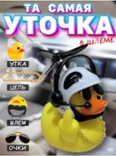 Resim Dd&ss Kasklı Ve Gözlüklü Araba Ördek / Pervaneli Ördek 277028293 