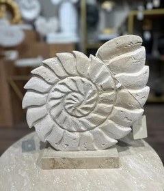 Resim setabianca Evza Mermer Traverten Ammonit Dekor 