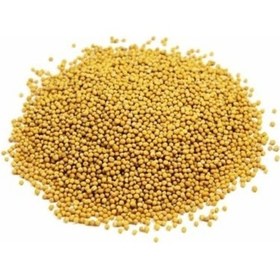 Resim Aktar Store Sarı Hardal Tohumu 1 Kg 