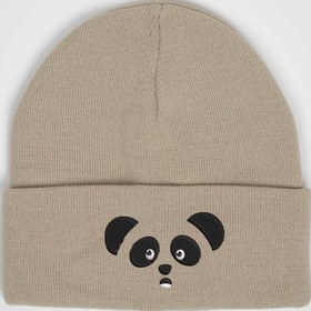 Resim Panda Nakışlı Bere - Bej 