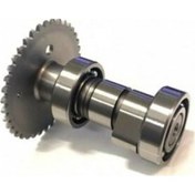 Resim Yuki Track 250 Atv & Lx 200 Eksantrik Mili - 9052837906070 