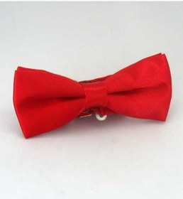 Resim Kırmızı Çocuk Boy Düz Renk Saten Papyon - Cp-03 
