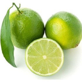 Resim Tüplü Aşılı Tahiti Lime Quat Çekirdeksiz Limon Fidanı 