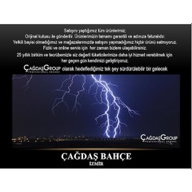 Resim Datsu Dbj4800E Benzinli Marşlı Monofaze Jeneratör 4.4 Kva 7.5 Hp 