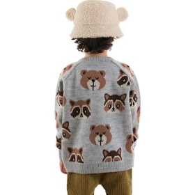 Resim Denokids Ayı Rakun Gri Triko Kazak Erkek Çocuk Bisiklet Yaka Casual Stil 