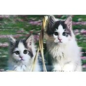 Resim 5d Elmas Boyama Kedi Tablosu 